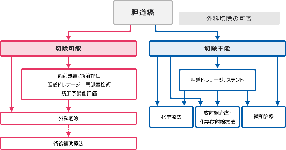 図:胆道癌診療ガイドライン 改訂第3版　胆道癌の治療アルゴリズム