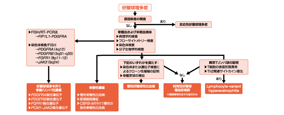 WHO2016年版に則した好酸球増多症の診断アルゴリズム