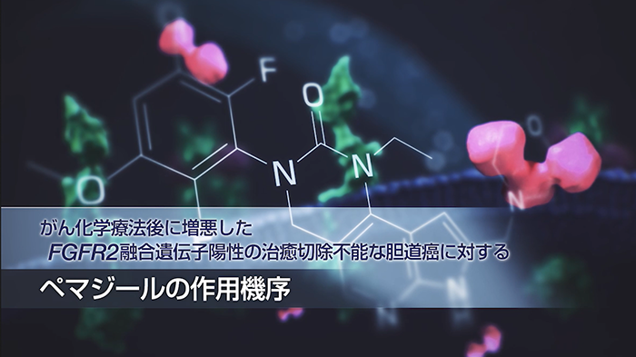 がん化学療法後に増悪したFGFR2融合遺伝子陽性の治癒切除不能な胆道癌に対するペマジールの作用機序