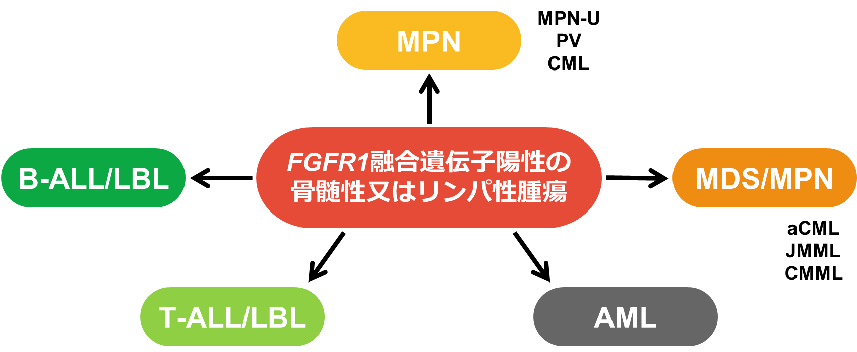 Update_骨髄性又はリンパ性腫瘍（MLN)特徴