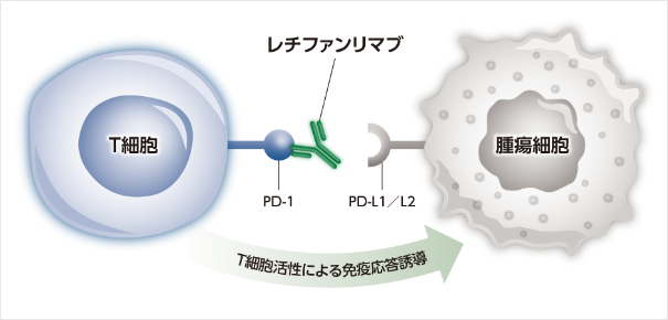 グループ 7805.png