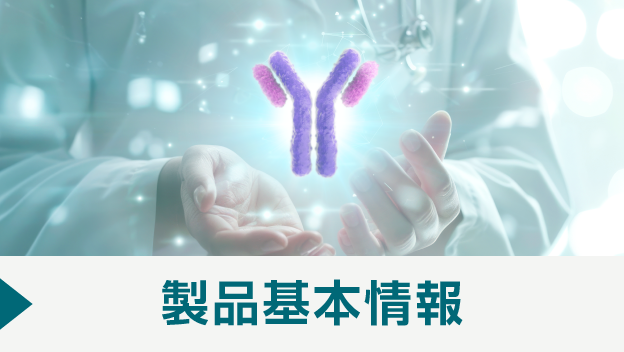 製品基本情報