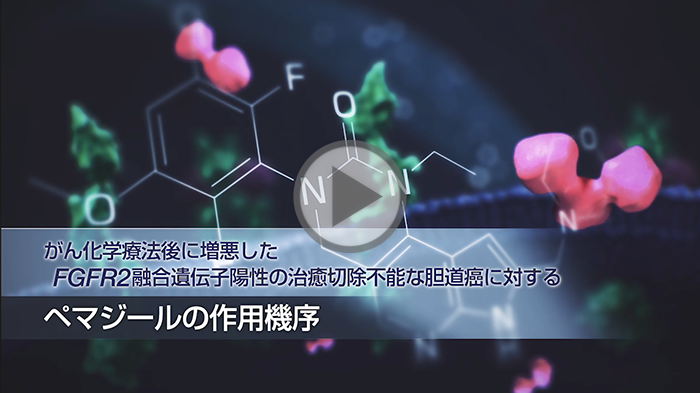 がん化学療法後に増悪したFGFR2融合遺伝子陽性の治癒切除不能な胆道癌に対するペマジールの作用機序